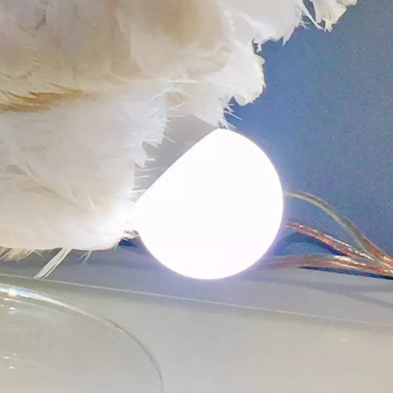 Chicken Egg Lamp