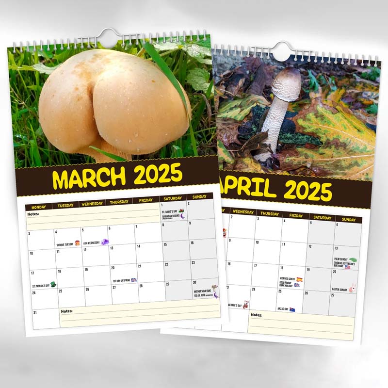 World's Greatest Mushrooms Calendar