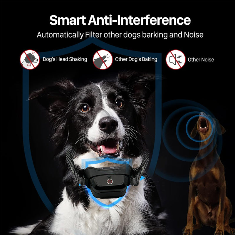 Dog Training Collar