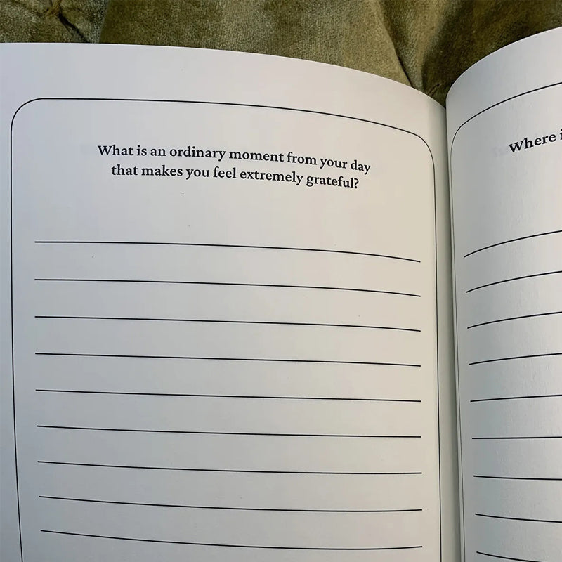 Questions You'll Wish You Asked: A Time Capsule Journal