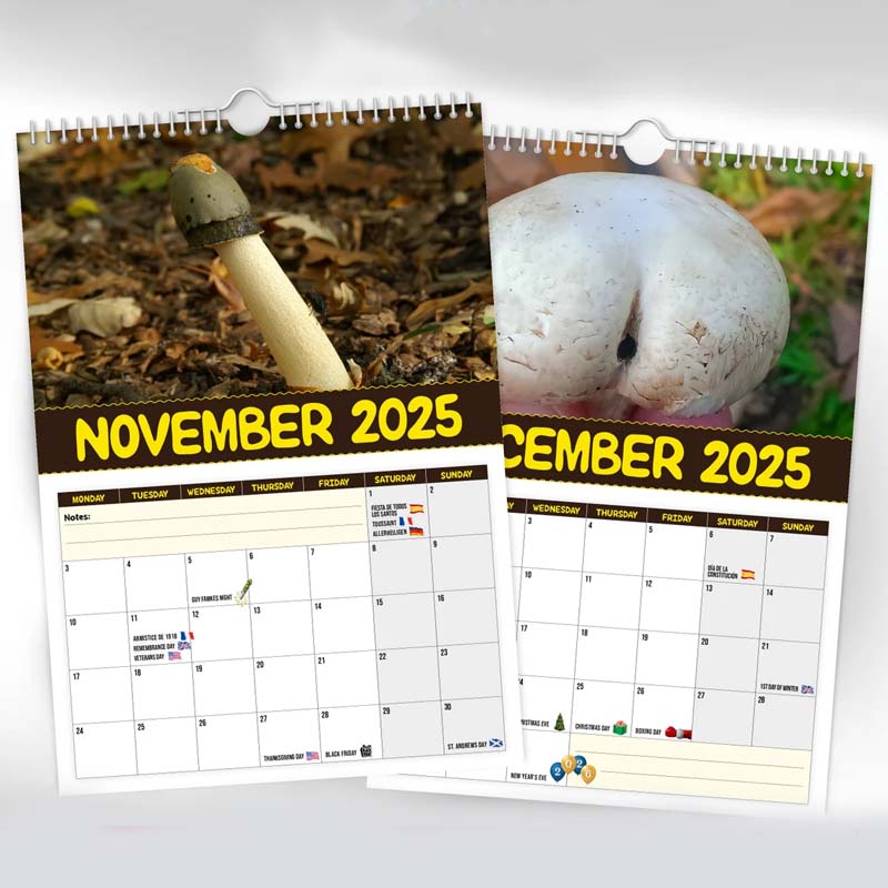 World's Greatest Mushrooms Calendar