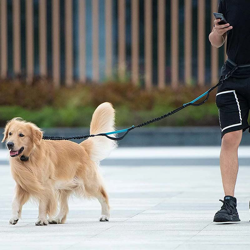 Hands Free Dog Leash With Zipper Pouch