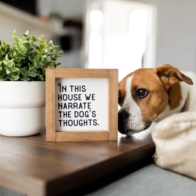 Pet Slogan Home Decorations