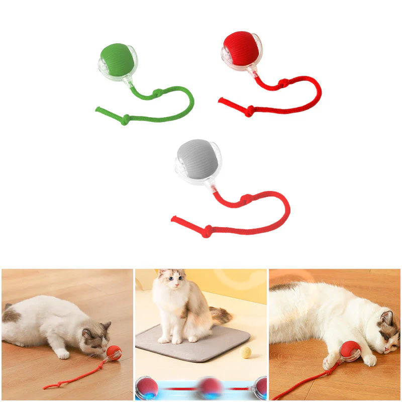 Indoor Cat Interactive Ball