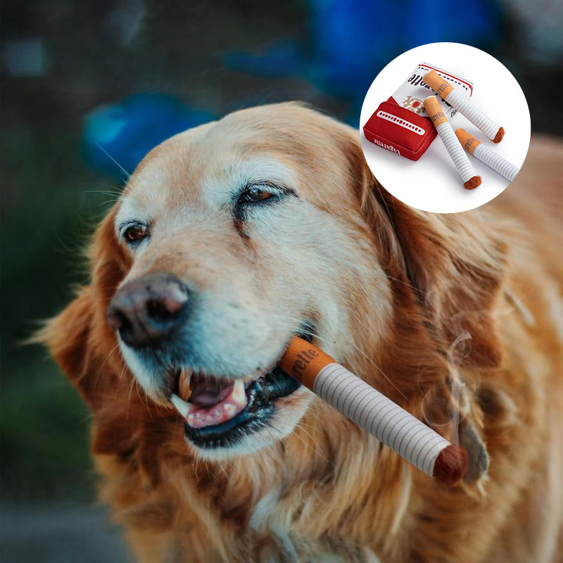 Pet cigarette toys