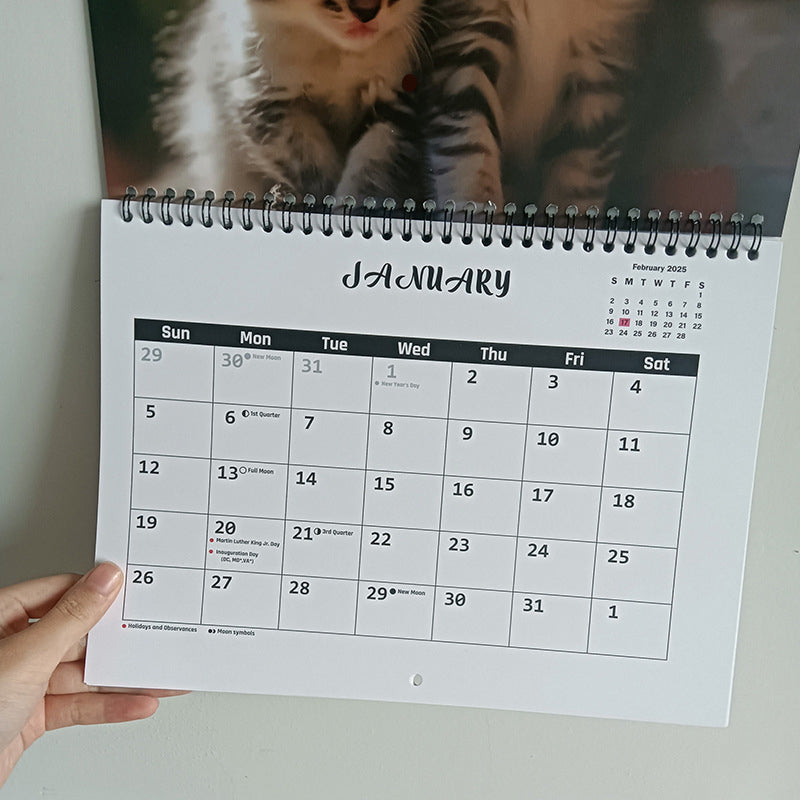 2025 Three Cats Calendar