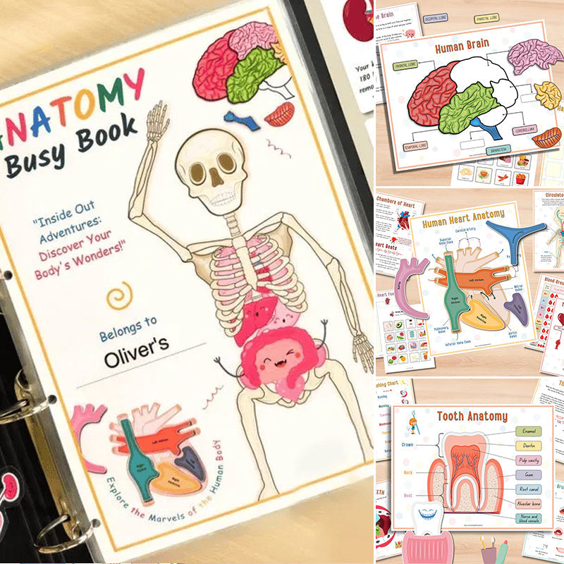 Human Anatomy Busy Book