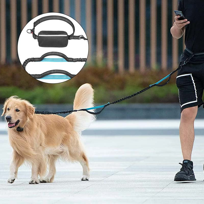 Hands Free Dog Leash With Zipper Pouch