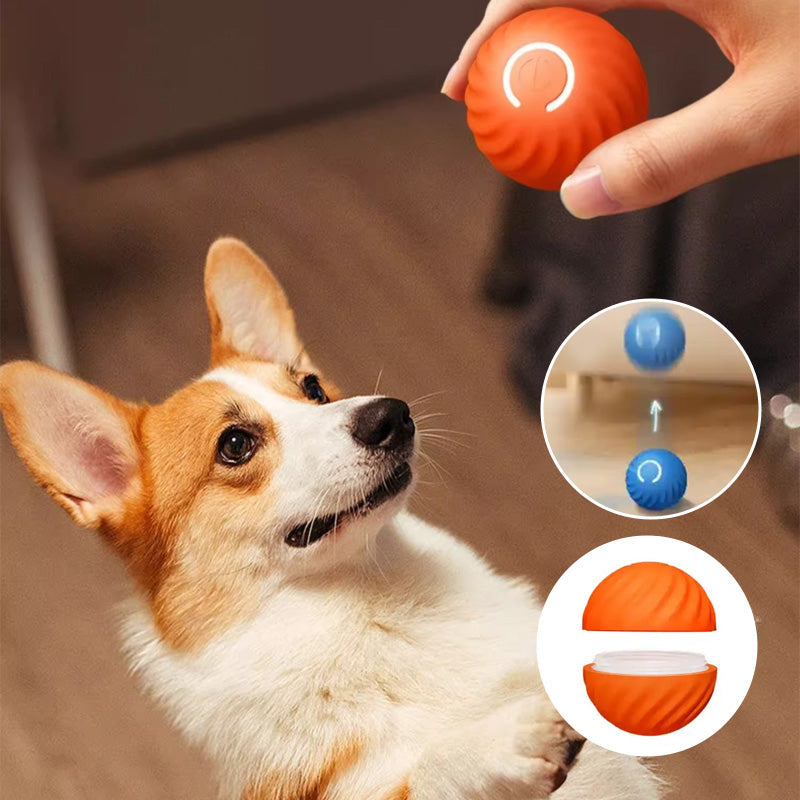 Automatic smart teasing dog ball that can't be bitten