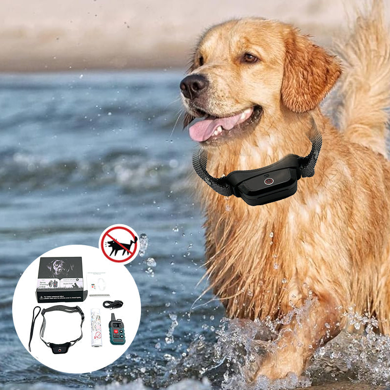 Dog Training Collar