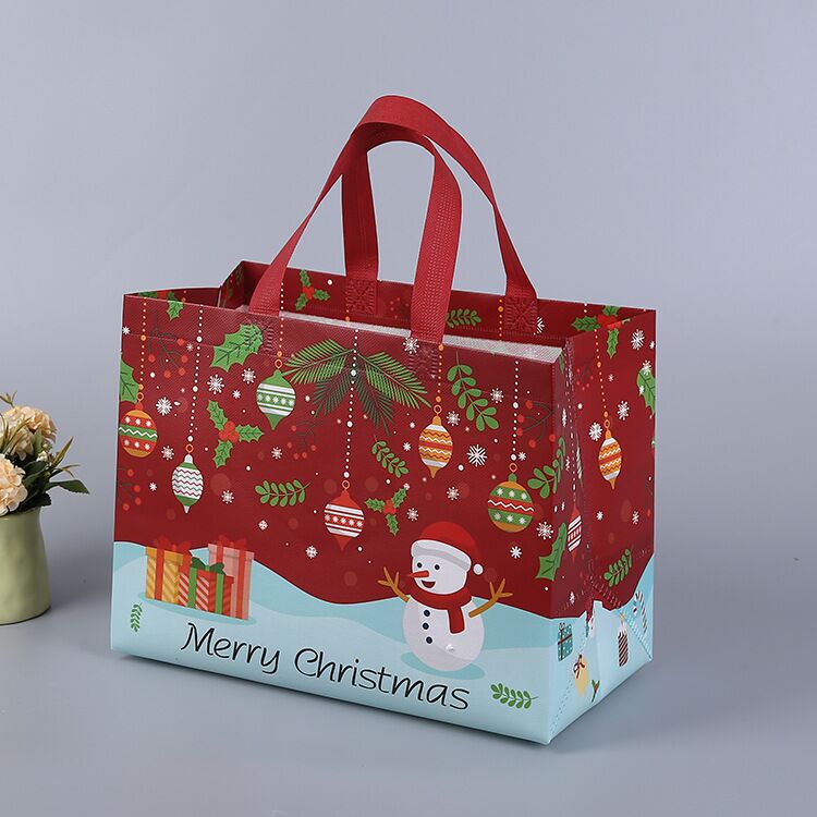 Christmas Gift Bag